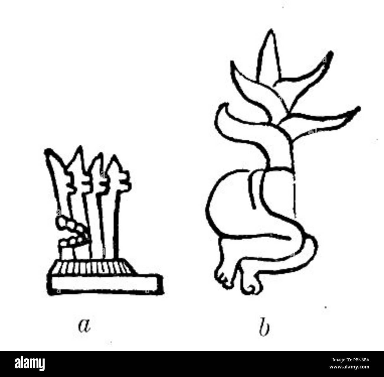 1009 hiéroglyphes mayas Fig 15 Banque D'Images