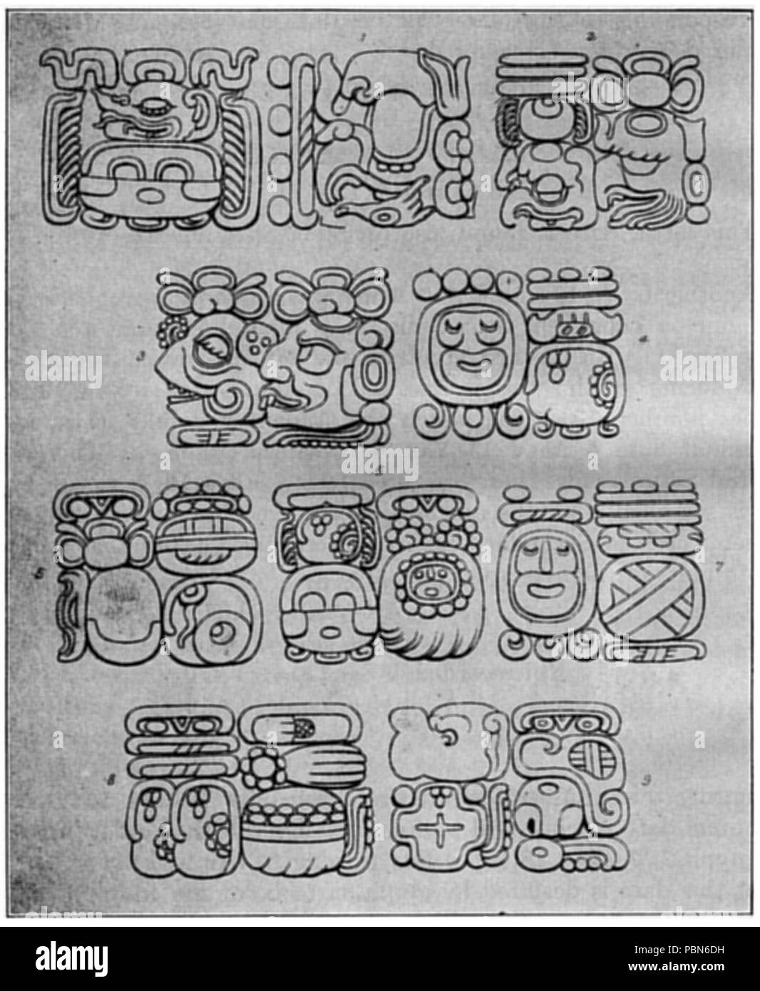 1009 hiéroglyphes mayas Fig 81 Banque D'Images