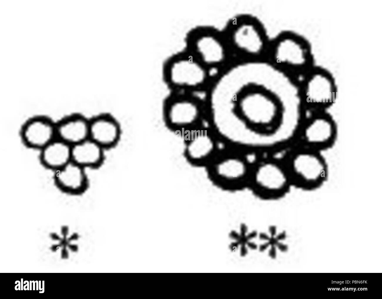 Hiéroglyphes Mayas 1009 Sidenote 191 Banque D'Images