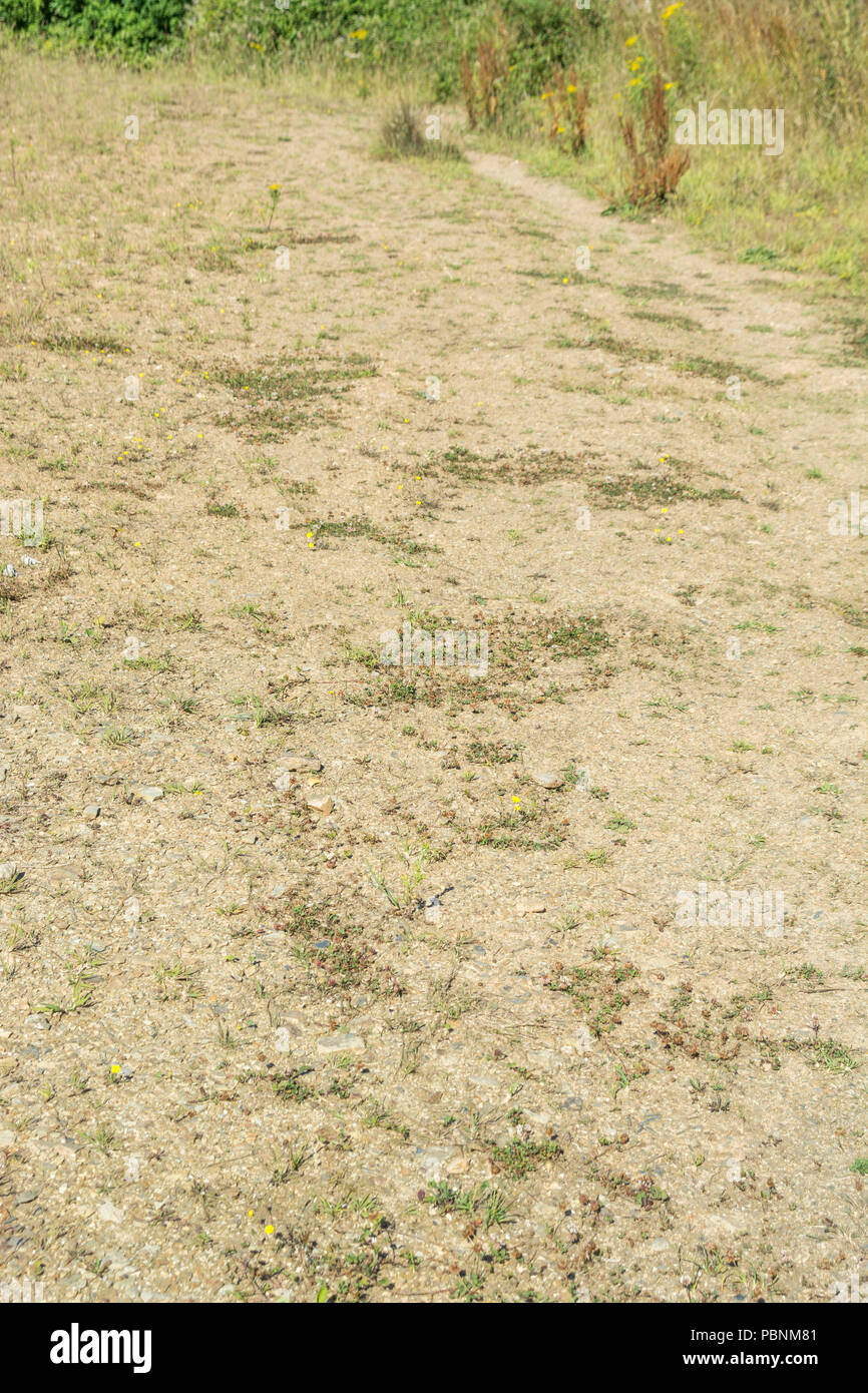 Sun-baked sol / sol pendant la canicule de l'été 2018. Métaphore de l'été chaud et sec, la sécheresse, la sécheresse l'Europe au Royaume-Uni, la pénurie d'eau. Banque D'Images