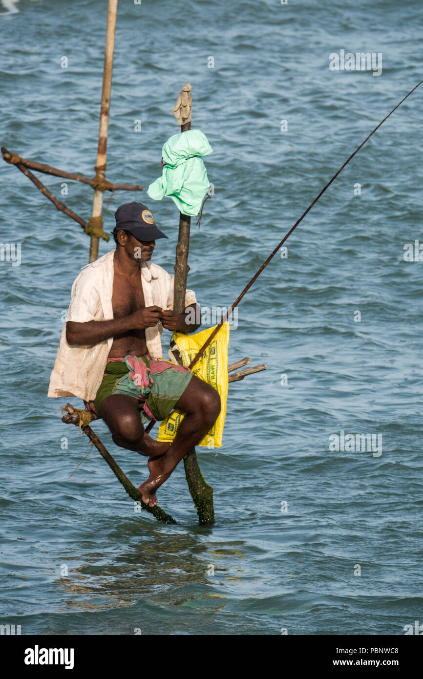 Pêcheur sur pilotis du Sri Lanka à la pêche tôt le matin Ahangama beach Banque D'Images