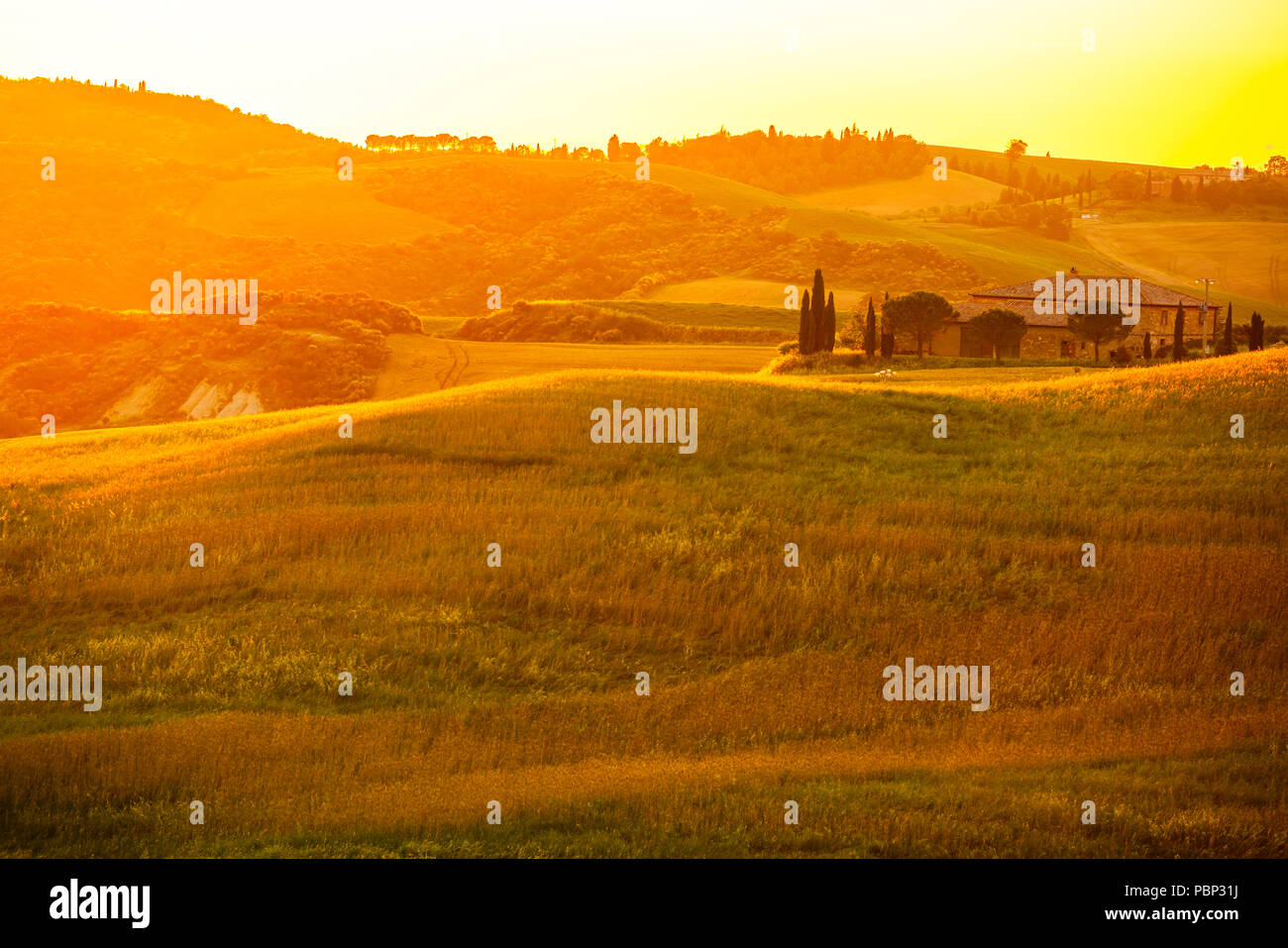 Vue impressionnante de collines de la Toscane, dans la lumière dorée du coucher de soleil avec les terres cultivées, la maison italienne typique et prairie d'herbe dans la Valdorcia, J Banque D'Images
