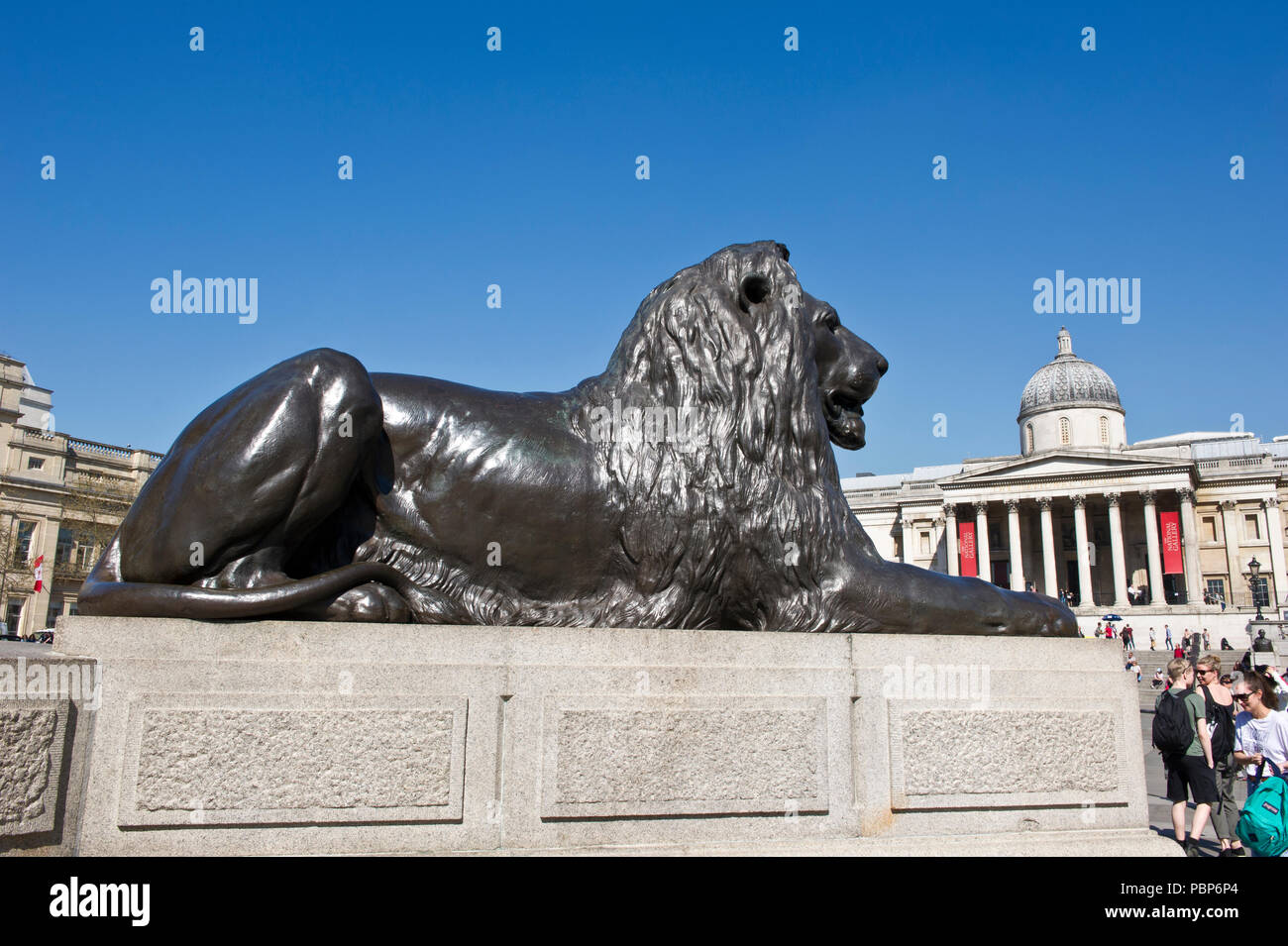 Une énorme statue de lion à Trafalgar Square, Londres, Royaume-Uni Banque D'Images