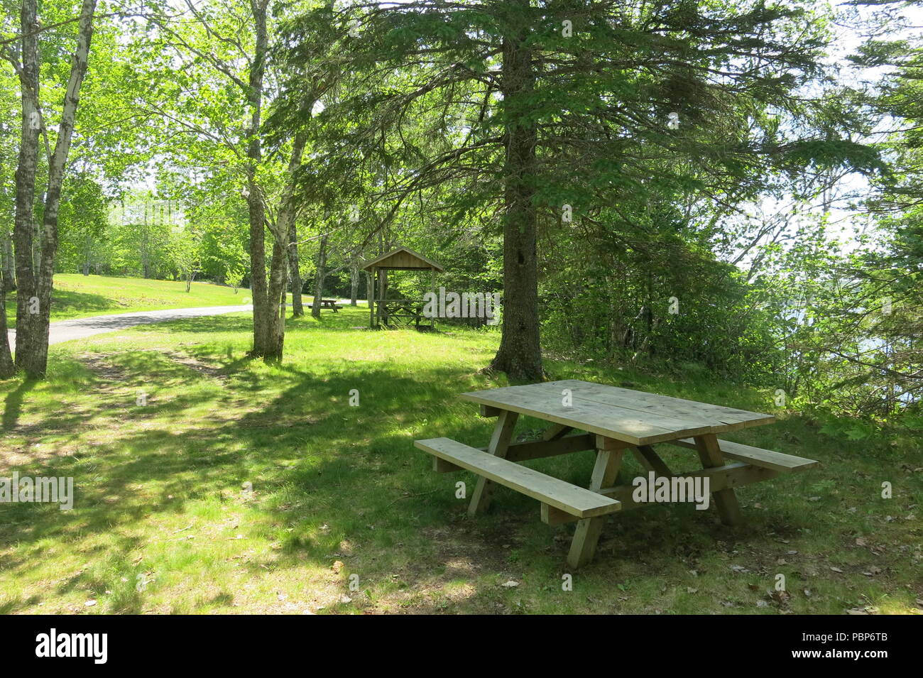 Le parc provincial du lac Lochiel fournit des tables de pique-nique dans les bois et un abri sur place au bord du lac pour profiter des sentiers de randonnée, la navigation de plaisance et natation Banque D'Images