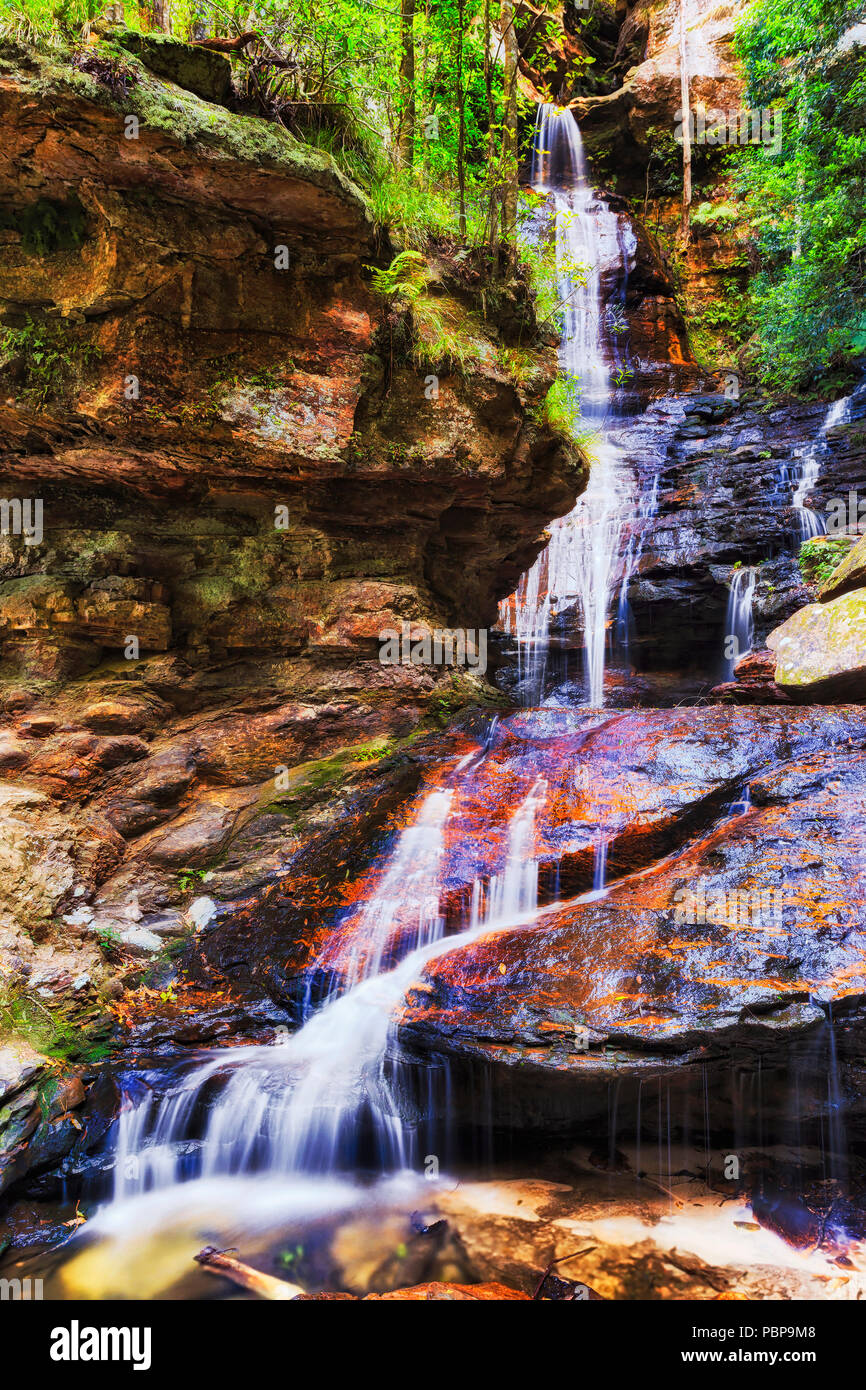 Des rochers de grès érodé autour de chutes d'Impératrice dans les montagnes bleues d'Australie dans les eaux de la vallée de la vapeur au fond d'une crique d'evergreen rain-fo Banque D'Images