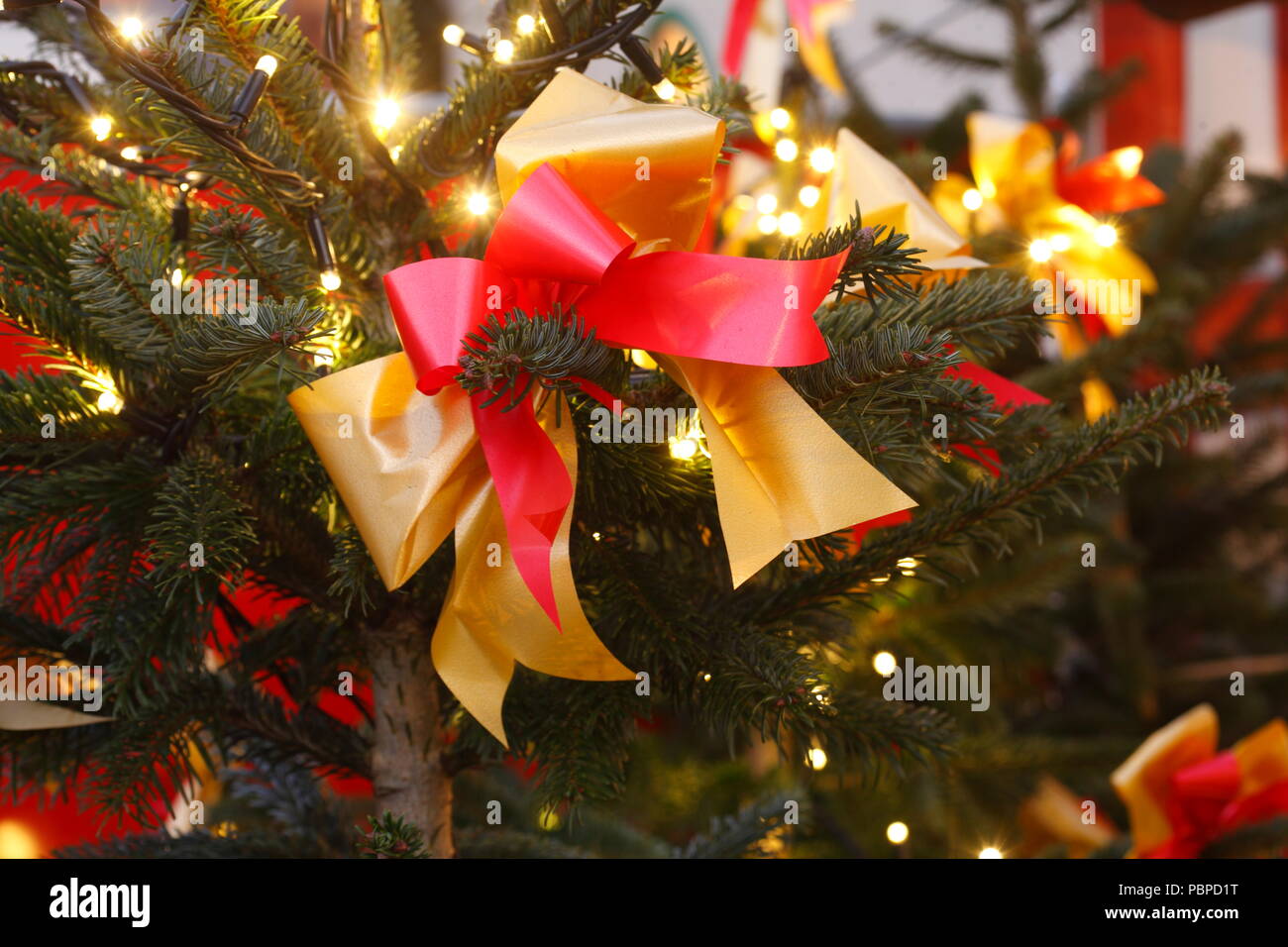 Du ruban d'or-rouge à un arbre de Noël au crépuscule, décoration de Noël, de l'Allemagne, l'Europe, j'Rot-Goldene Schleife une Abenddämmeru bei einem Weihnachtsbaum Banque D'Images