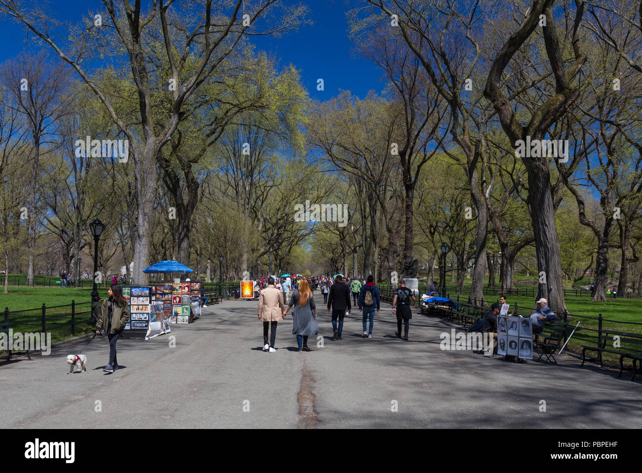 Printemps promenade dans le Mall dans Central Park, New York, USA Banque D'Images