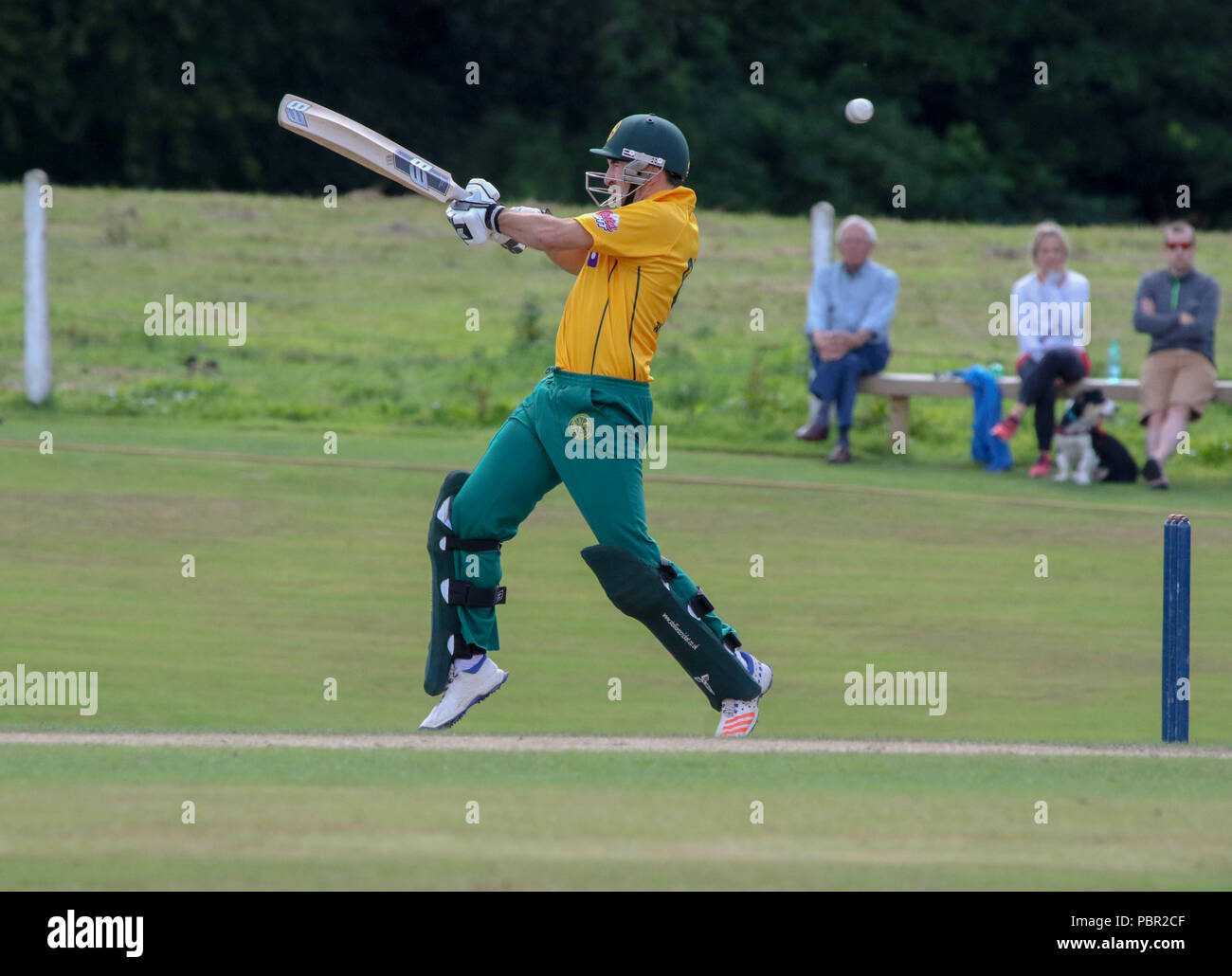 La Pelouse, Waringstown, Irlande du Nord, Royaume-Uni. 29 juillet, 2018. Le Lagan Valley Steels vingt 20 2018 Finale de la coupe. Waringstown v North Down. Ryan Haire en action pour l'Amérique du bas. Crédit : David Hunter/Alamy Live News. Banque D'Images