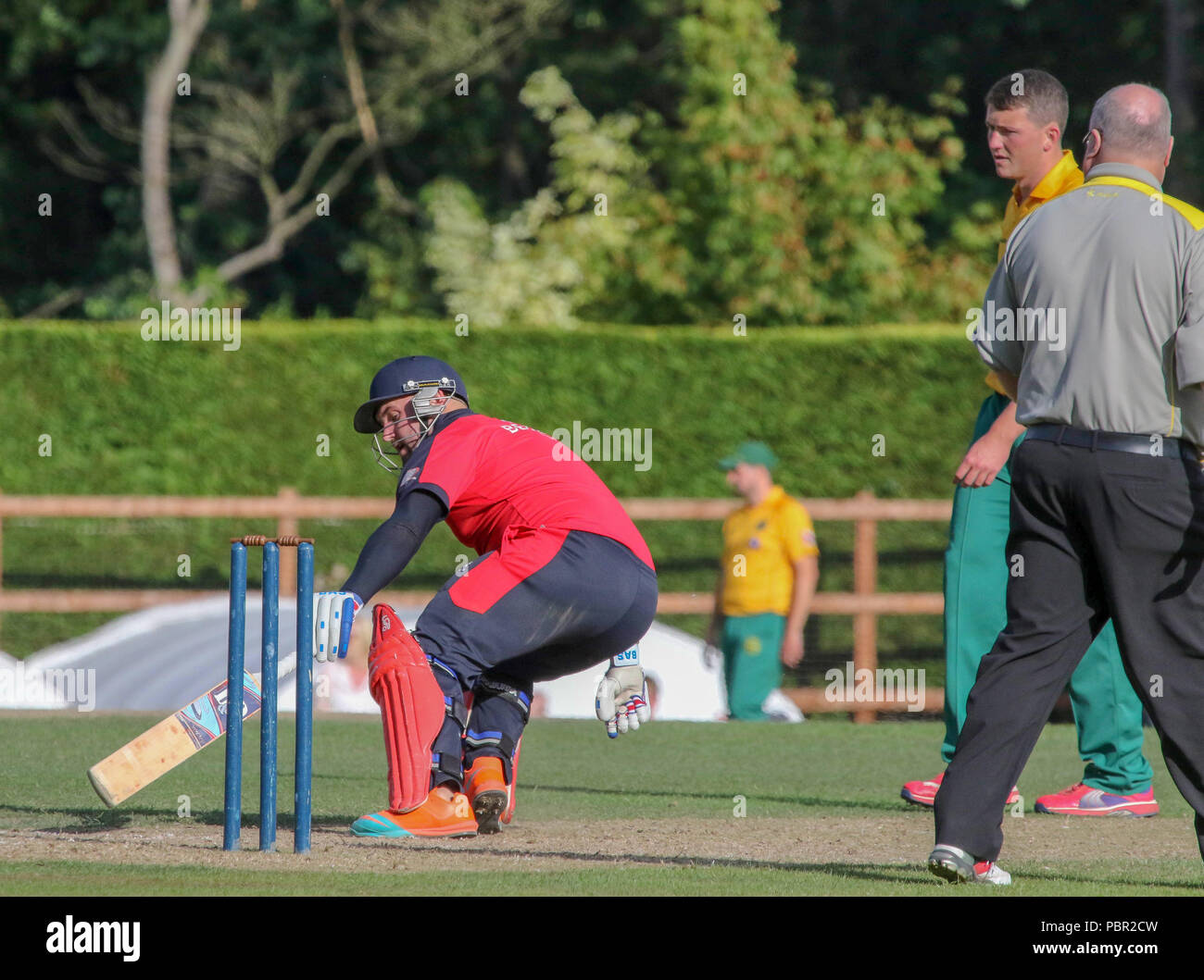 La Pelouse, Waringstown, Irlande du Nord, Royaume-Uni. 29 juillet, 2018. Le Lagan Valley Steels vingt 20 2018 Finale de la coupe. Waringstown v North Down. Waringstown batteur James Hall sur son chemin à un invaincus 91. Crédit : David Hunter/Alamy Live News. Banque D'Images