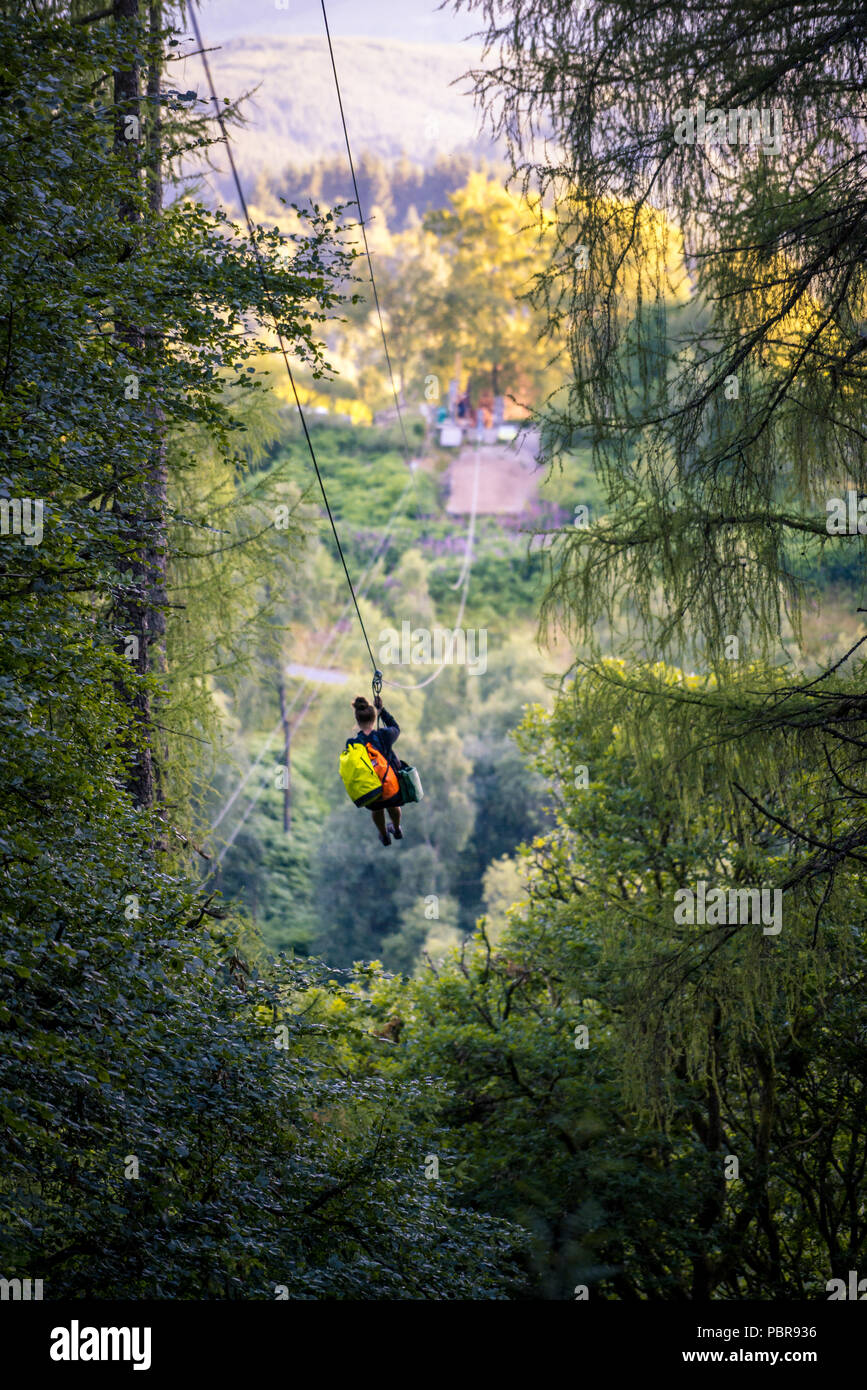 Plein air Go-Ape Tree Top Adventure Banque D'Images