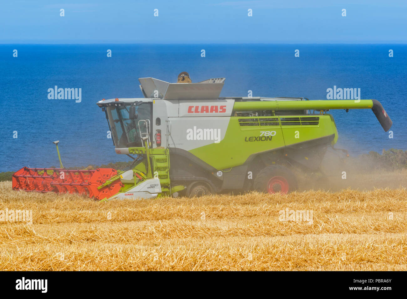 Moissonneuse-batteuse, CRÉANT DES NUAGES DE POUSSIÈRE SUR UN CHAMP D'ORGE AVEC VUE SUR LA MER ET DE MORAY EN ÉCOSSE Banque D'Images