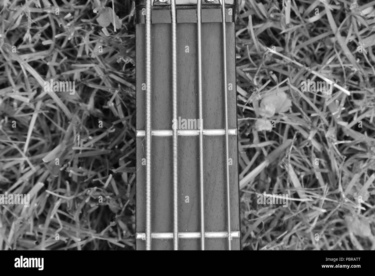 Close up de manche de guitare dans l'herbe en noir et blanc Banque D'Images