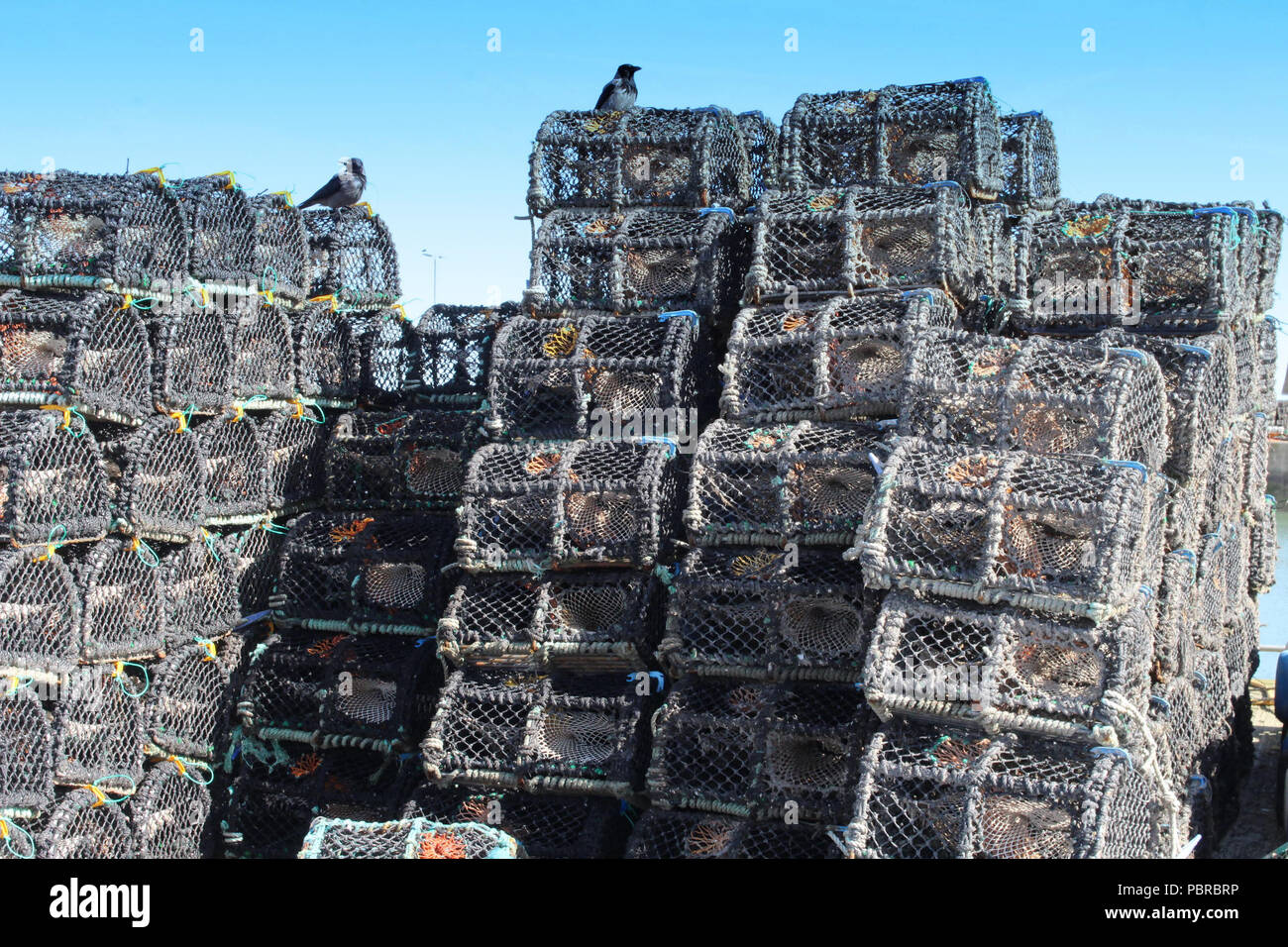 Des casiers à homard empilés sur le quai du port. Banque D'Images