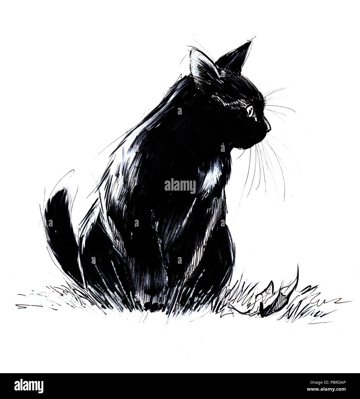 Chat noir chasse ludique attend de bondir sur sa proie Banque D'Images
