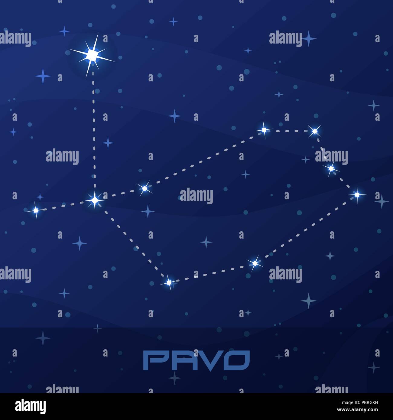 Pavo Constellation, Peacock, night sky Illustration de Vecteur