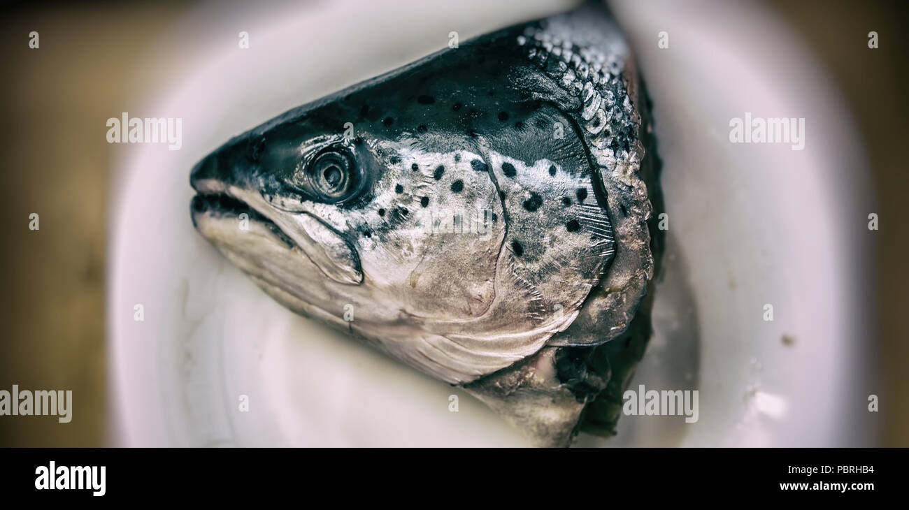 Tête de saumon poisson congelé se trouve sur une plaque. La cuisson.  Bandeau Web Photo Stock - Alamy