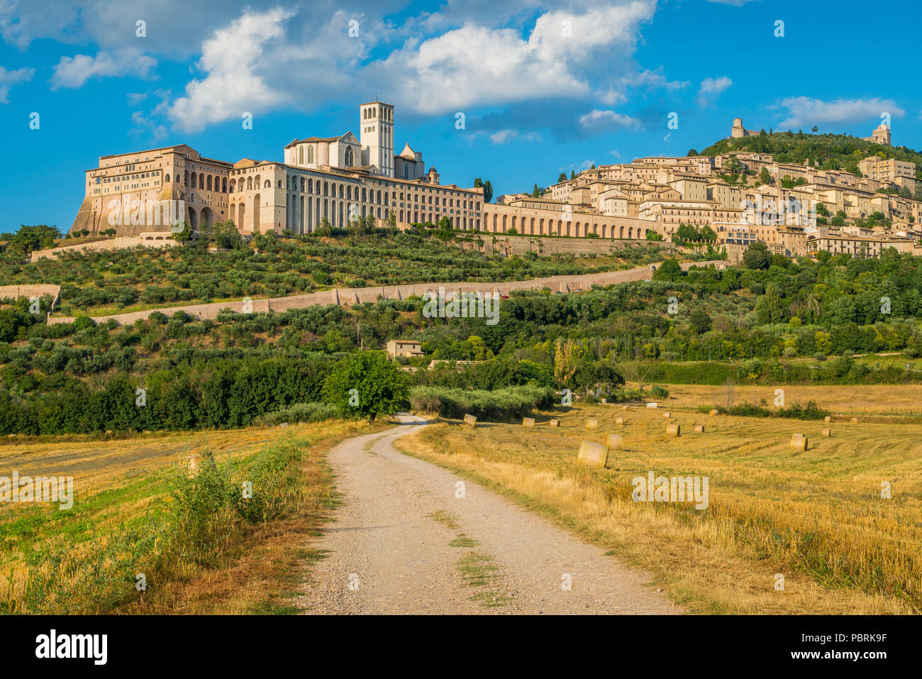 Vue panoramique d'assise, dans la province de Pérouse, dans la région Ombrie en Italie. Banque D'Images