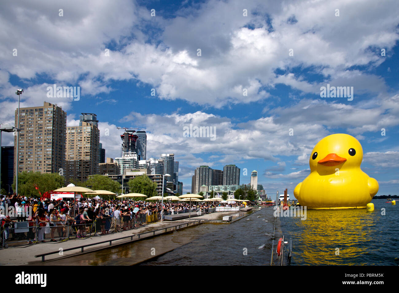 Le « canard en caoutchouc » flottant de façon placentaire dans le port de Toronto. Canard jaune gonflable affiché dans le parc HTO de Toronto Banque D'Images