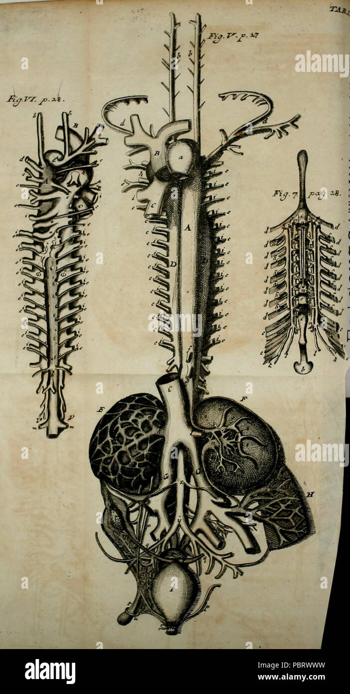 Acta Academiae Caesareae Leopoldino-Carolinae Physico-Medica Banque D'Images