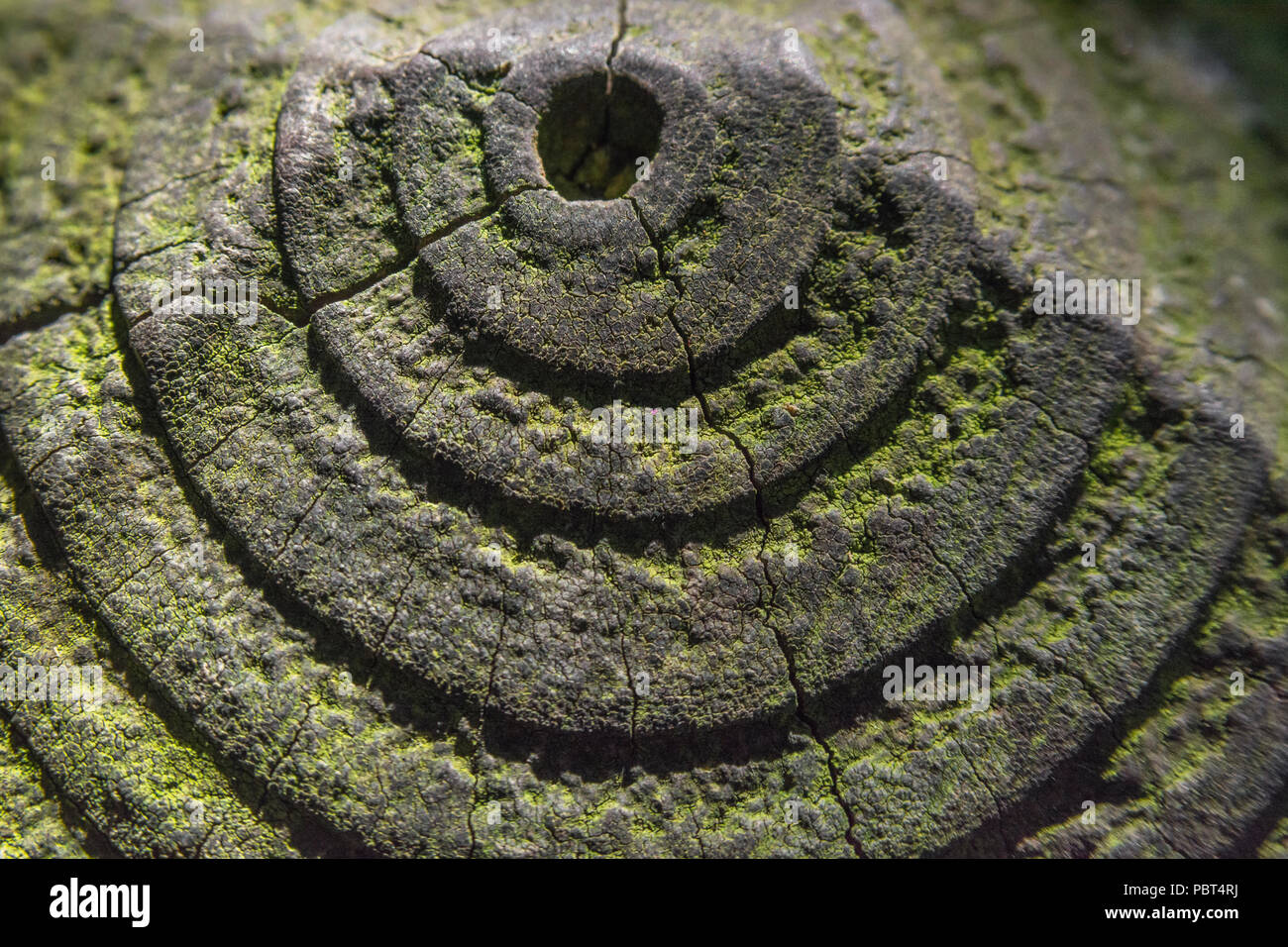 Effet d'ombre du soleil sur les anneaux d'un poteau d'escrime. Métaphore possible cercles concentriques, cercle intérieur, texture radiale. Banque D'Images