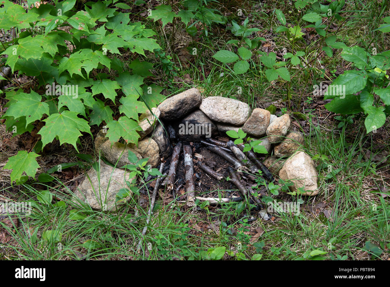 Une petite roche primitive fire place le long d'un sentier dans la forêt de l'Adirondack, NY USA. Banque D'Images
