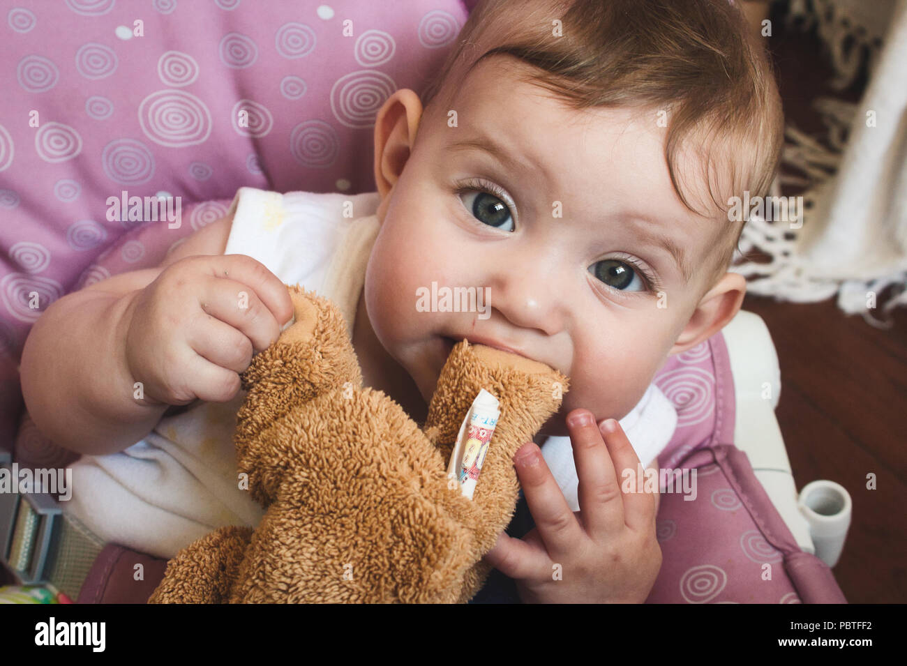 Mignon Bebe Fille Jouant Avec Son Ours En Peluche Brun Peluche Et A Macher Sur Le Pied De L Ours Photo Stock Alamy Mignon Bebe Fille Jouant Avec Son Ours En Peluche Brun Peluche Et A Macher Sur Le Pied De L Ours Photo Stock Alamy