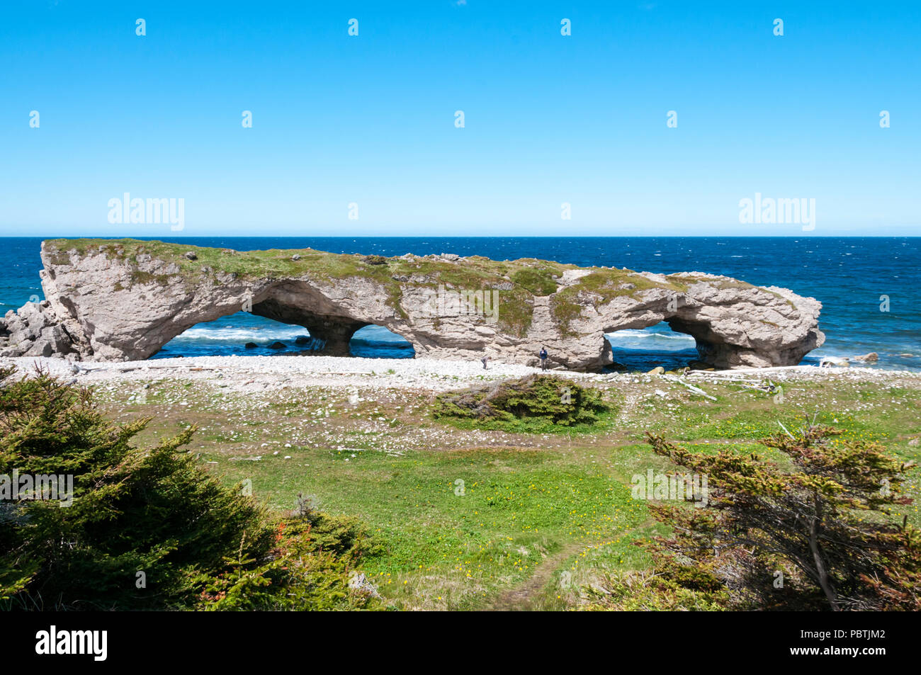 Arches Provincial Park sur la péninsule nord de Terre-Neuve, Canada Banque D'Images