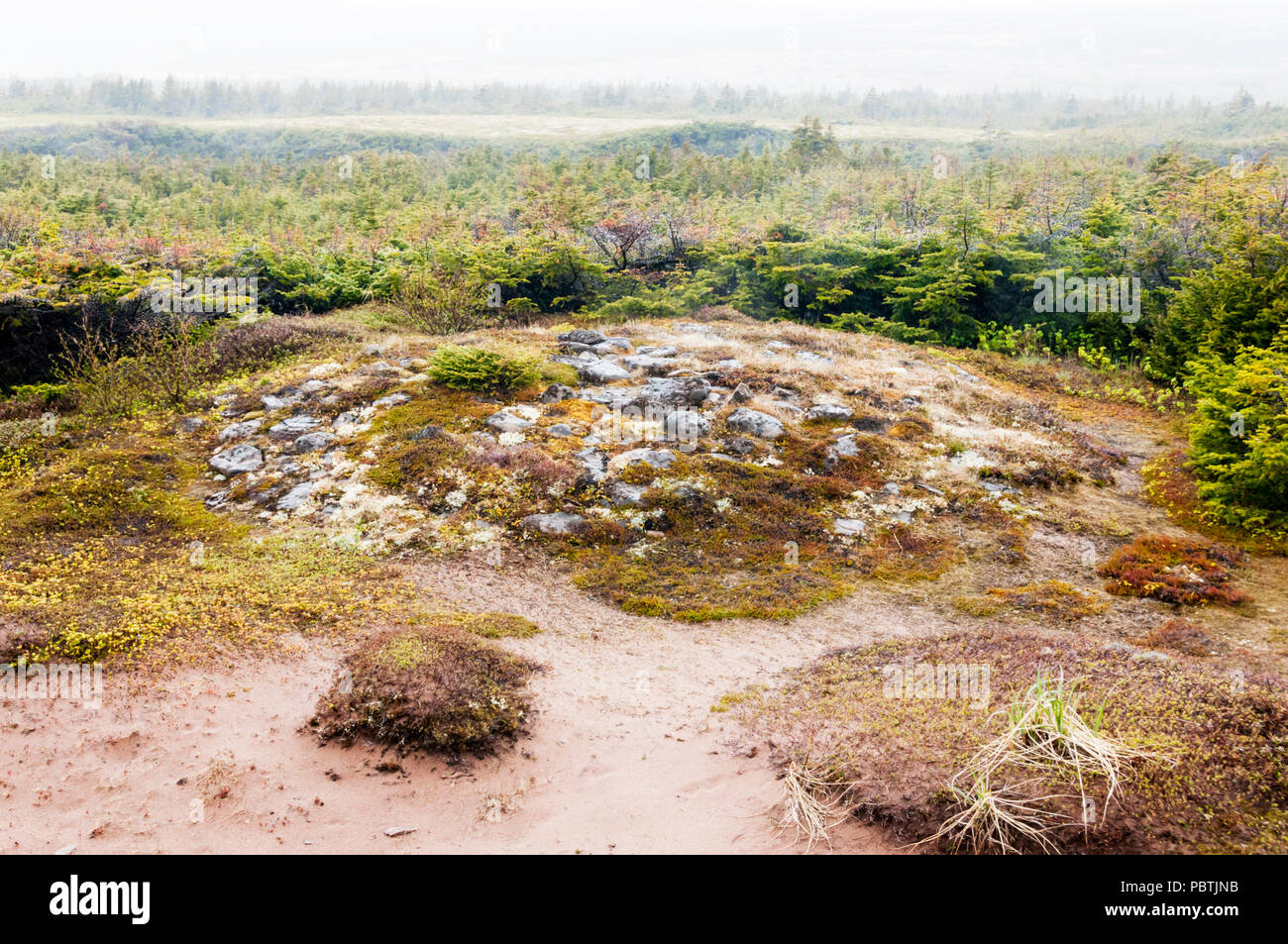 Ce monticule sur la côte du Labrador marque lieu de sépulture d'un enfant qui est mort de l'Archaïque maritime c7500 il y a des années. Inhumation connue plus tôt en Amérique du Nord. Banque D'Images