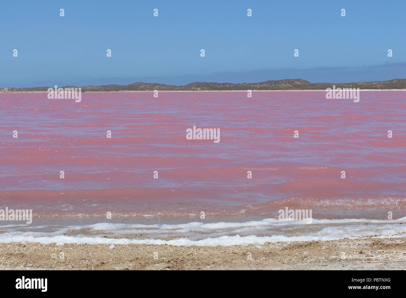 Lac rose dans l'ouest de l'Australie, Kalbarri Banque D'Images Lac rose dans l'ouest de l'Australie, Kalbarri Banque D'Images