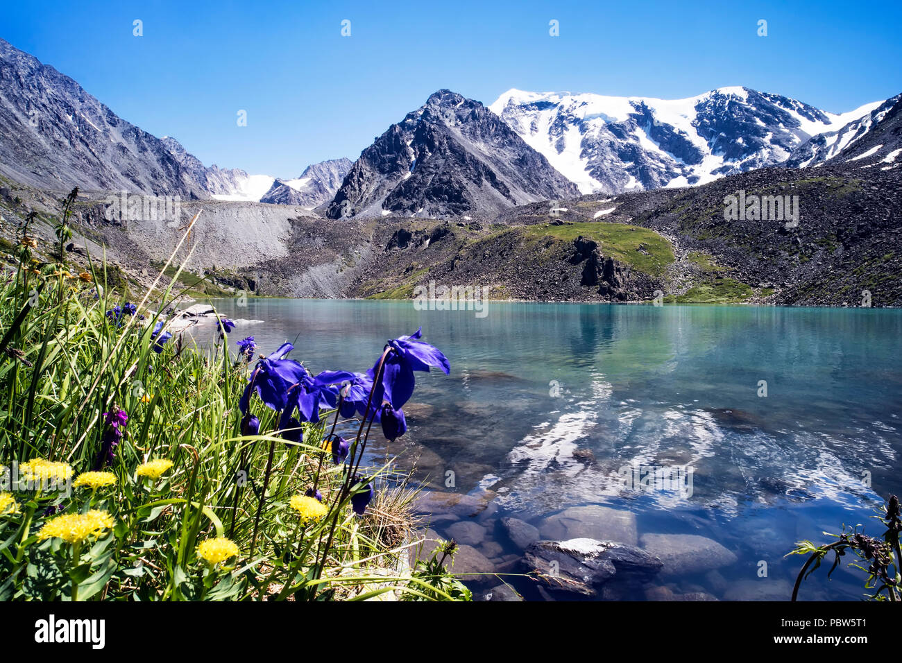 Petit lac de montagne avec des fleurs sur le premier plan. Beau paysage d'été de l'Altaï montagnes et lacs avec des fleurs en montagne. Banque D'Images
