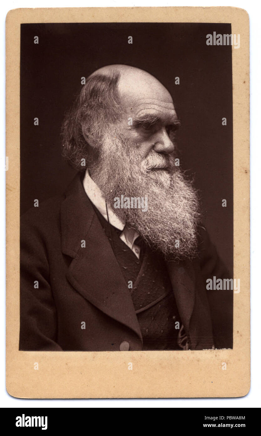 Darwin - 153 G John Murdoch Portrait Banque D'Images