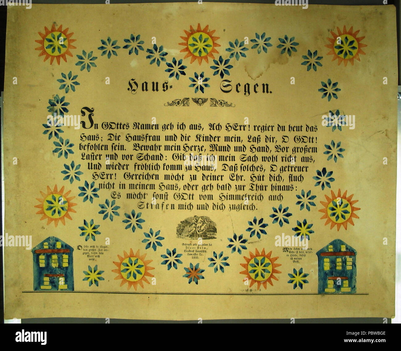 268 Palm Haussegen Banque D'Images