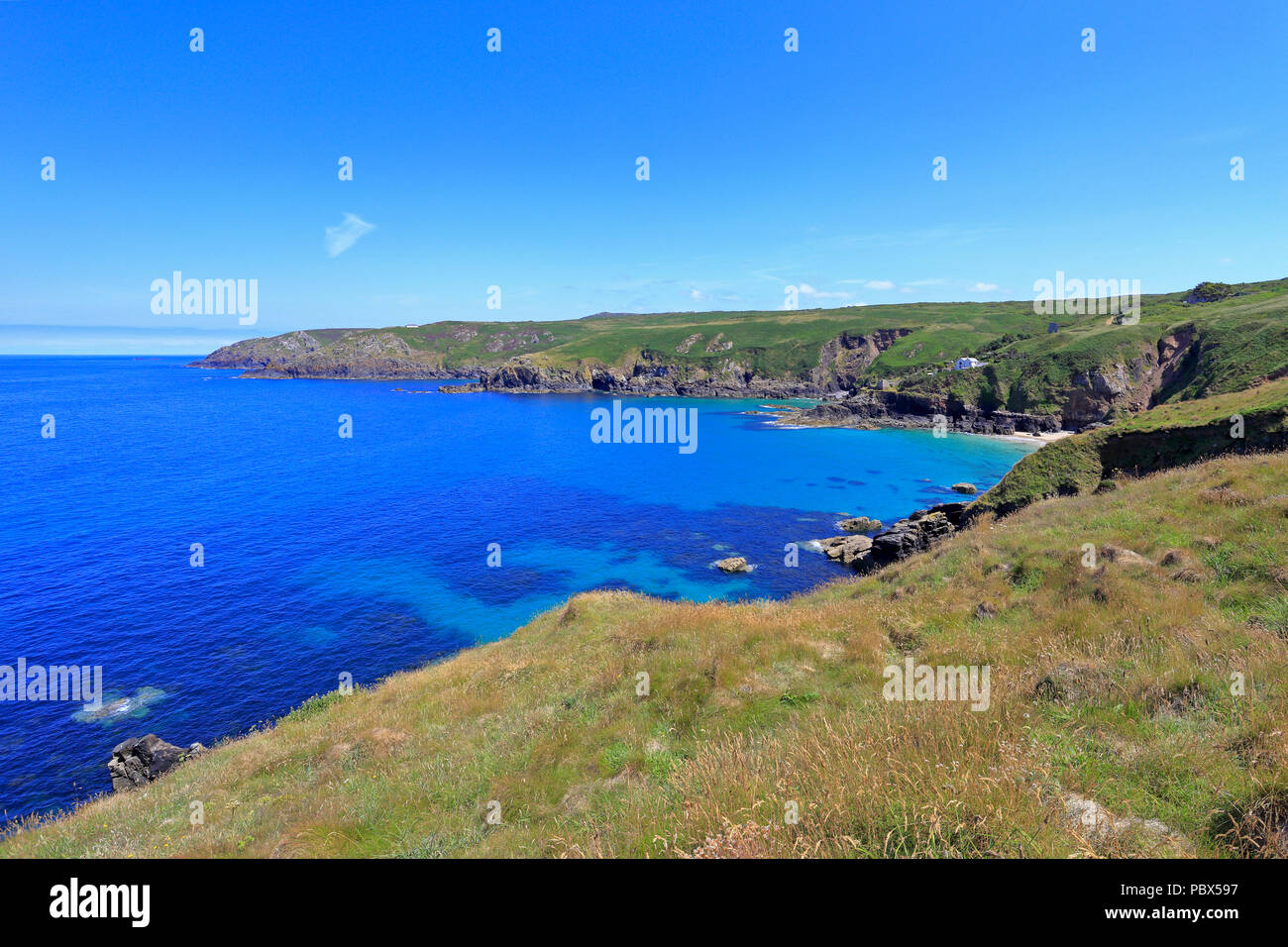 South West Coast Path près de la tête de Grondin, au-dessus de Treen Cove avec des falaises Zennor, Cornwall, England, UK. Banque D'Images