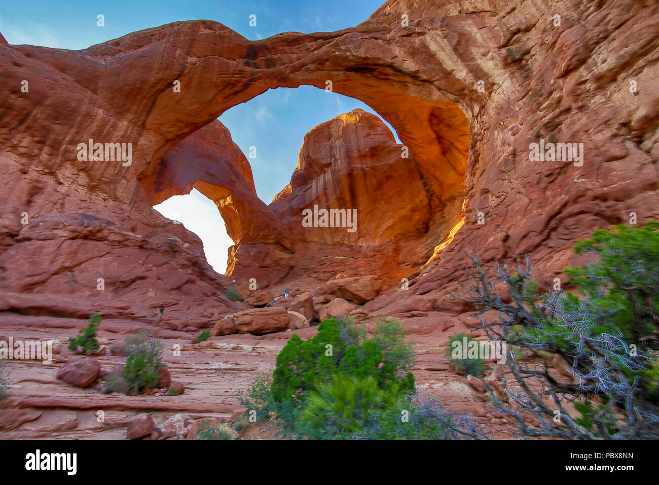 Grande Arche au Parc National Arches dans l'Utah Banque D'Images