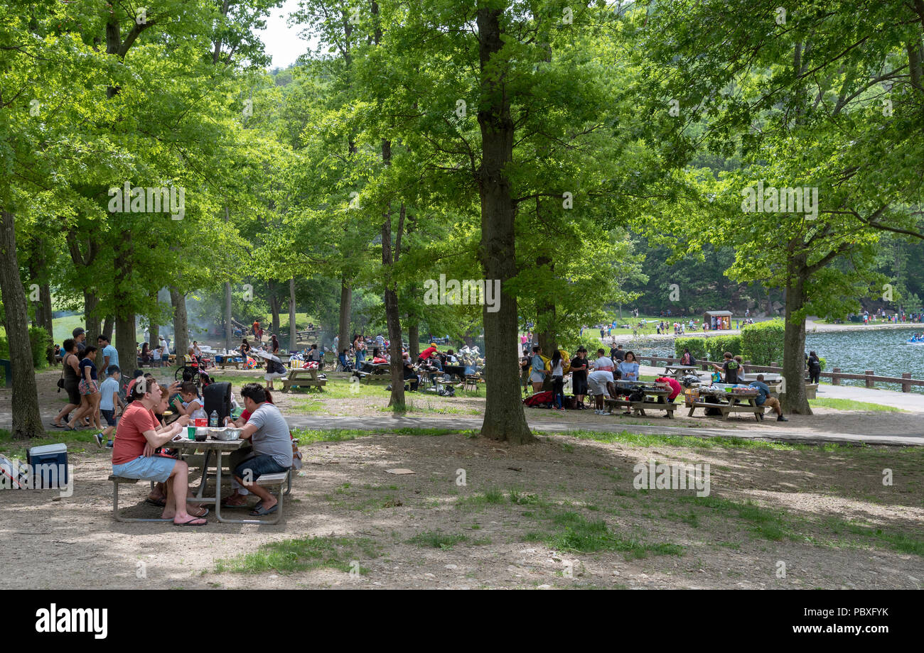 Bear Mountain National Park, comté de Rockland, État de New York, USA. Les visiteurs appréciant le parc Banque D'Images