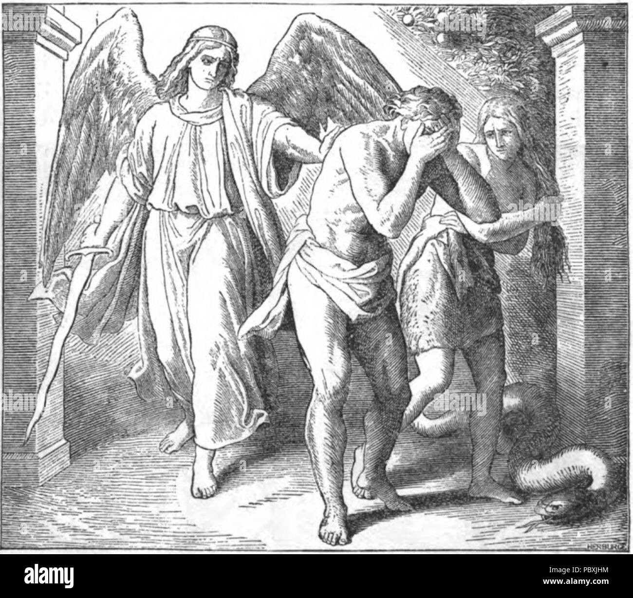 213 Favoriser l'Adam et Eve Banque D'Images
