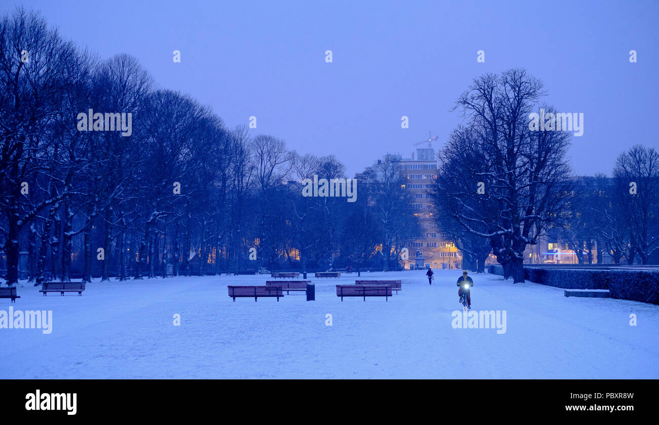 Belgique : Bruxelles couvertes de neige. Quelqu'un faire du vélo dans le "Parc du Cinquantenaire" (Le Français pour Parc du Cinquantenaire), ou le Parc du Cinquantenaire Banque D'Images