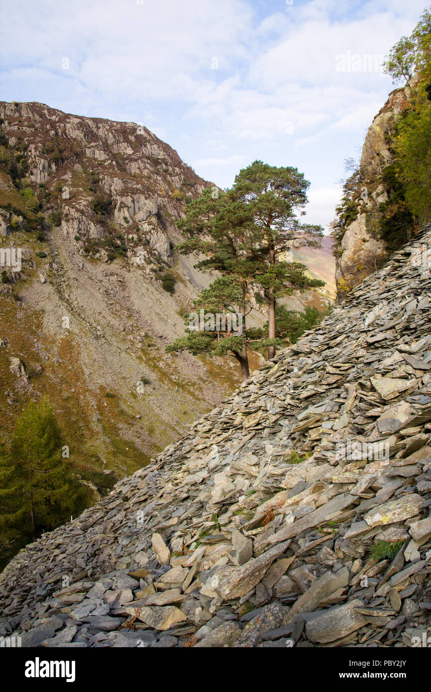 Castle Crag, Parc National de Lake District, UK. Borger Dalr Vallée de Borrowdale, marche de la géologie Banque D'Images