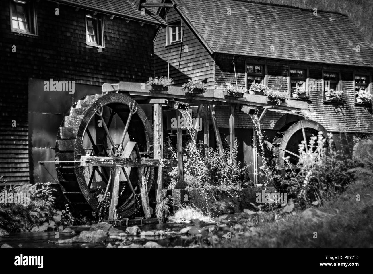 Hexenlochmühle roue de l'eau dans la Forêt Noire Banque D'Images