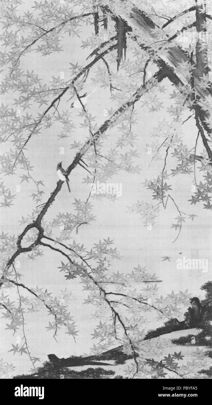 394 érables avec de petits oiseaux Banque D'Images