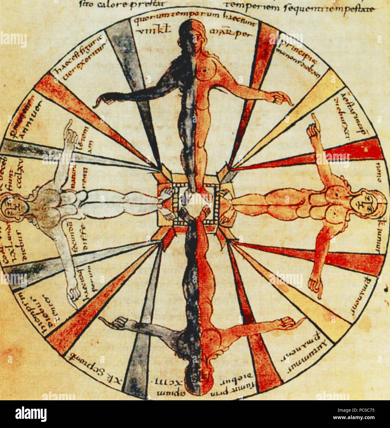 300 Isidore de Séville quatre éléments Banque D'Images
