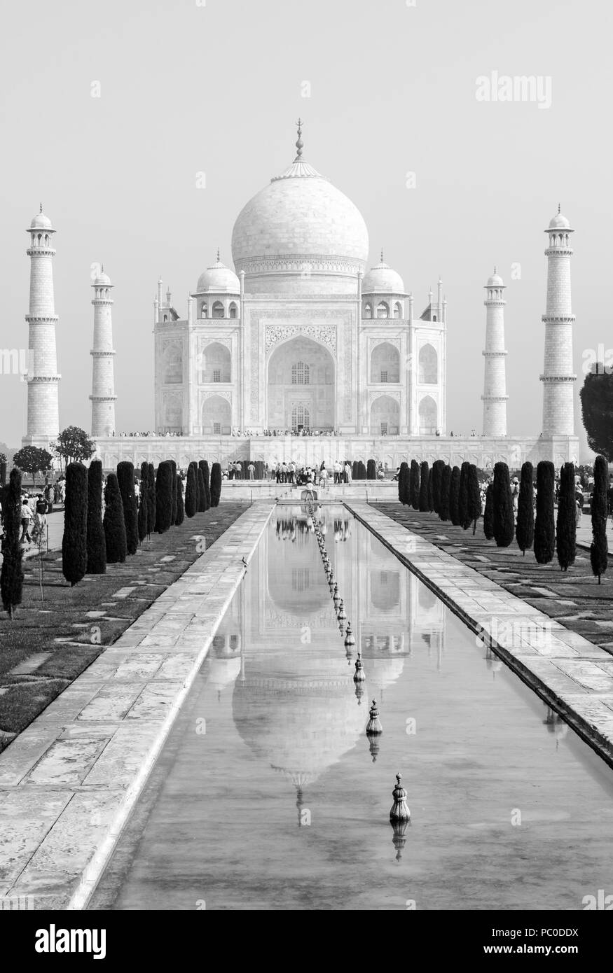 Portrait noir et blanc vue sur le Taj Mahal à Agra, Uttar Pradesh, Inde, reflétée dans l'étang Banque D'Images