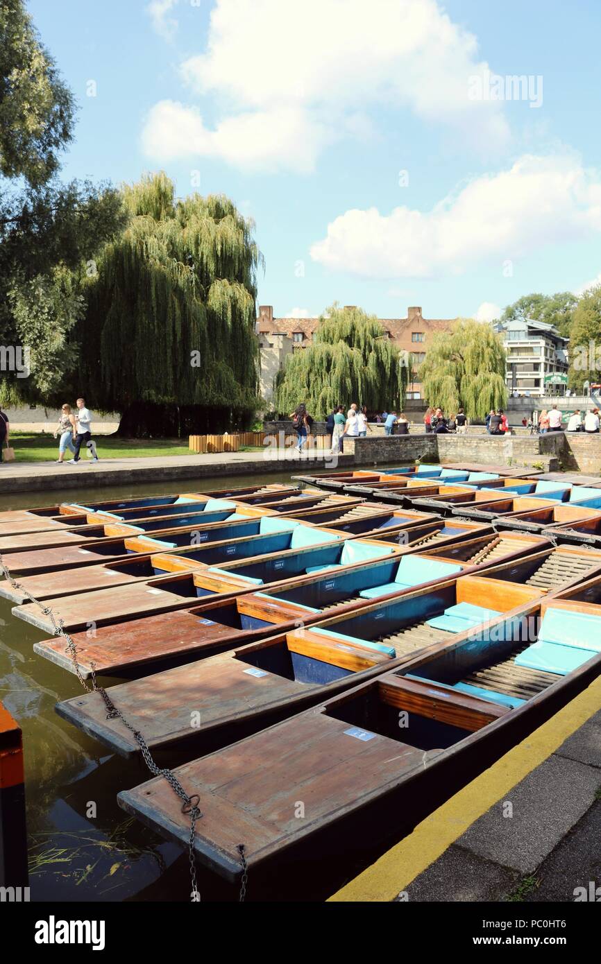 Cambridge plates alignées dans river Banque D'Images