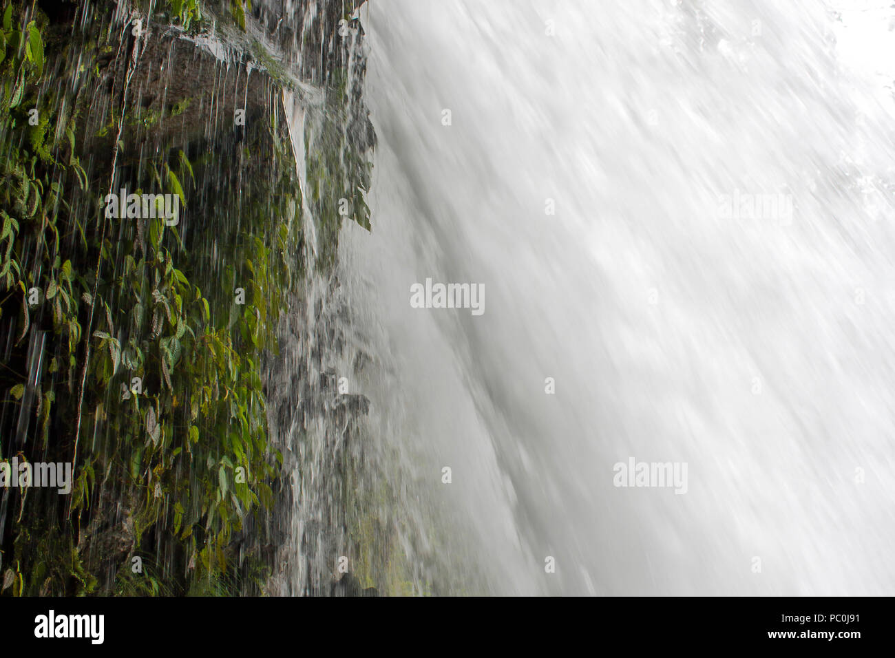 Close Up Side View Waterfall Pouring sur falaise, dans Jungle Banque D'Images Close Up Side View Waterfall Pouring sur falaise, dans Jungle Banque D'Images