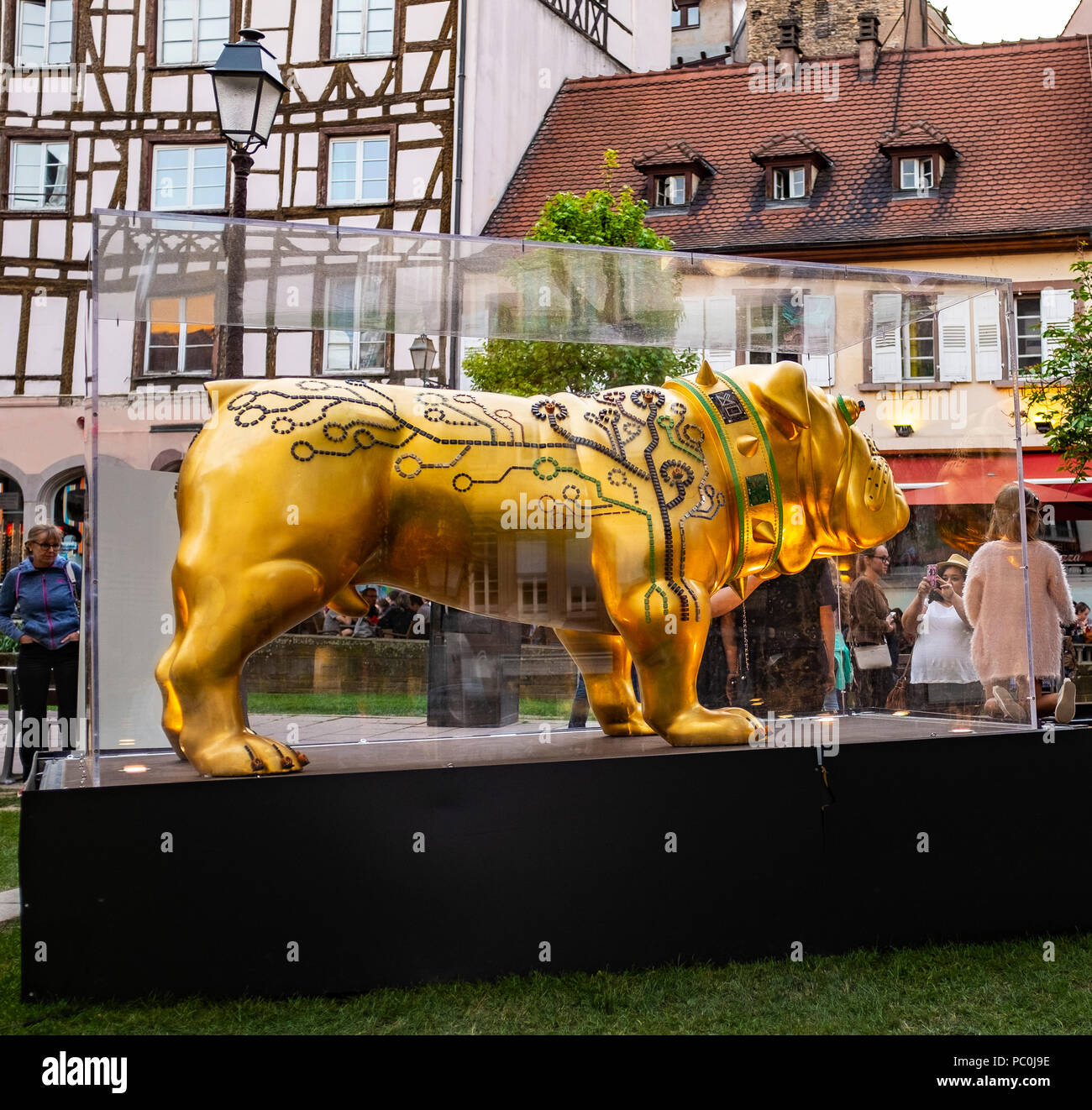 Hector, bulldog Anglais sculpture dorée à la feuille d'or, décorée avec des composants électroniques, sculpteur Renato Montanaro, affichage de rue, Strasbourg, Banque D'Images