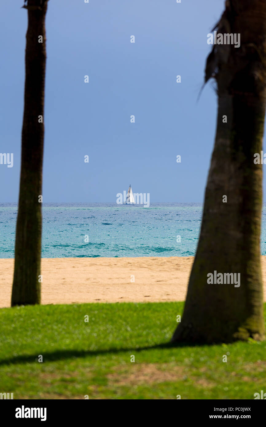 Belle plage dans un paysage côtier espagnol près de Sant Antoni de Calonge Banque D'Images