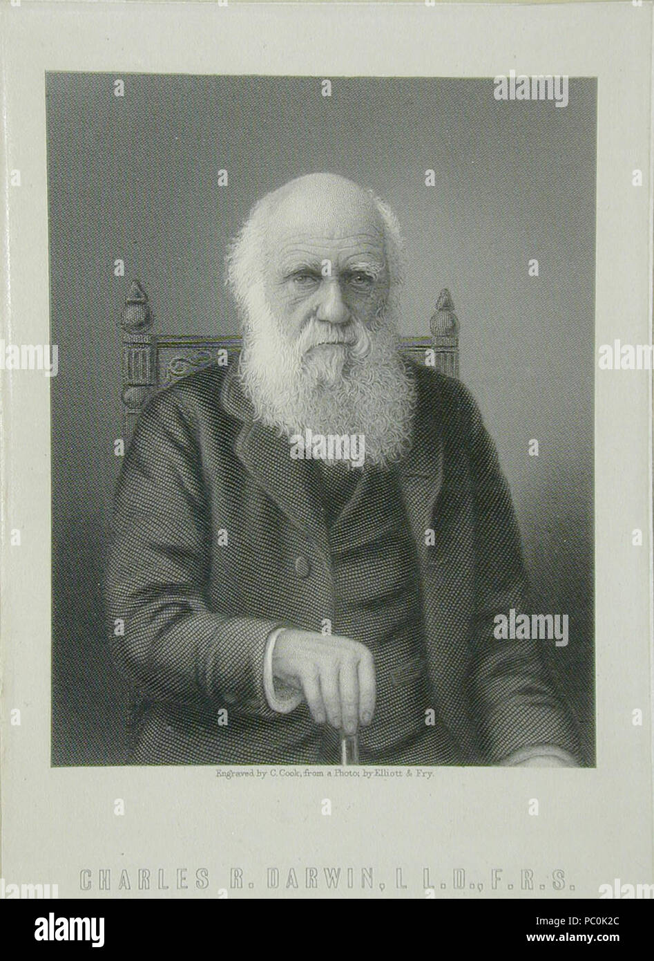 123 gravure de Charles Darwin C. Cook après Elliott &AMP ; Fry, 1899 Banque D'Images