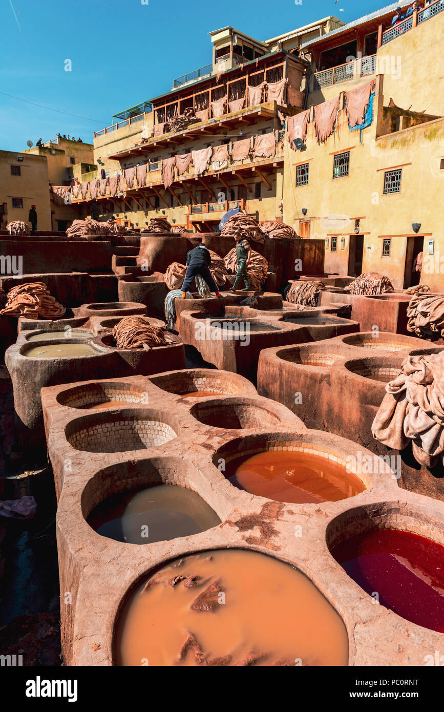 La teinture des travailleurs du cuir, bassin avec la peinture, la teinture, la tannerie Tannerie Chouara, tanner et dyer trimestre, Fes el Bali, Fes, Maroc Banque D'Images