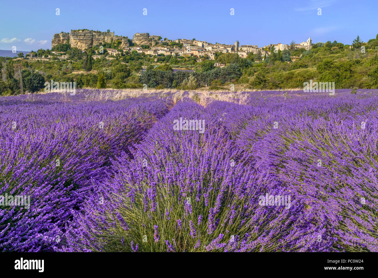 Saignon, Vaucluse, Provence, France, Europe Banque D'Images