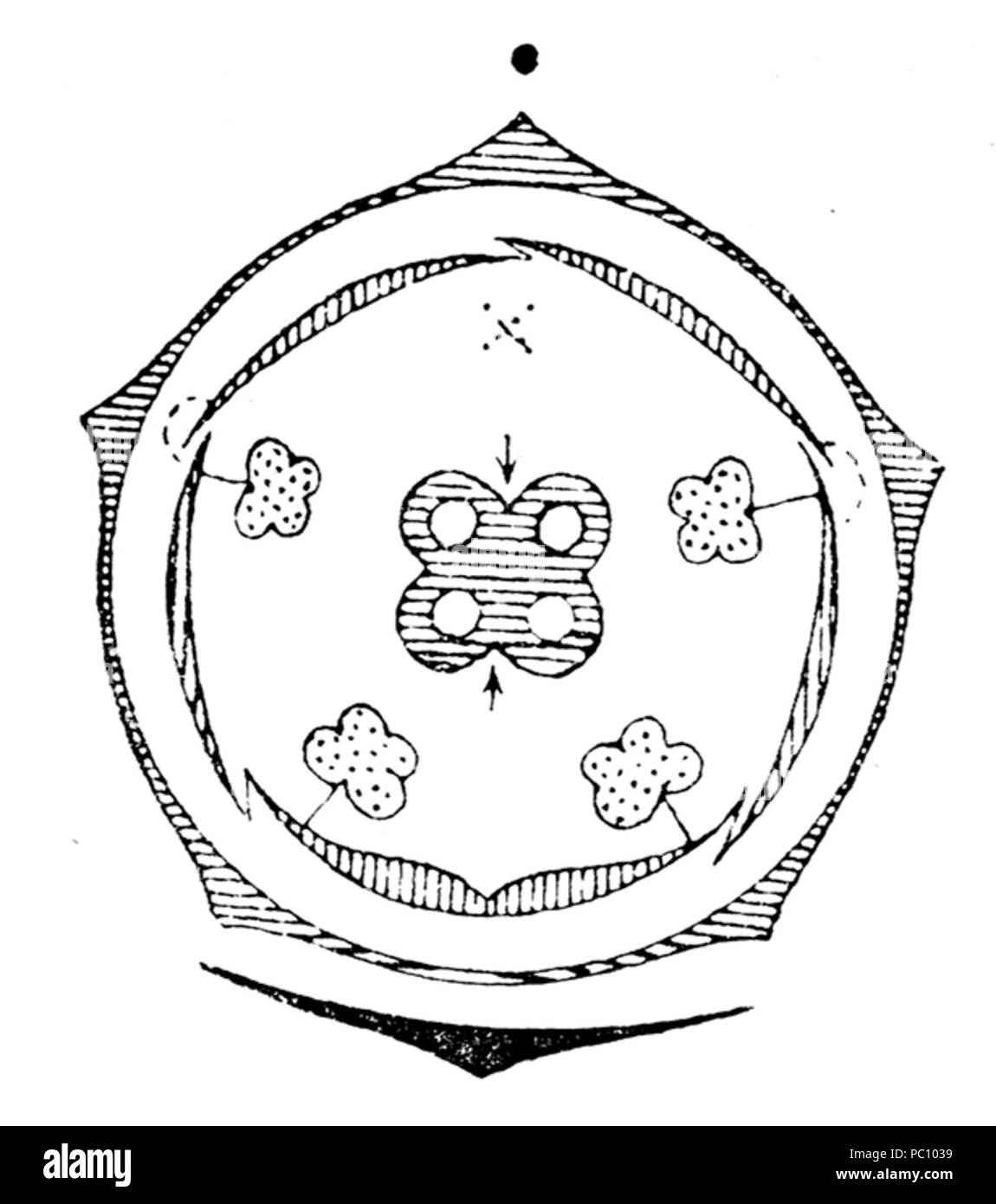 358 flowerdiagram Lamium Banque D'Images